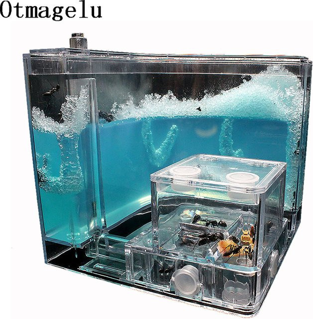 Otmagelu Ameisen Bauernhof, Ameisen Haus Schloss, Insekten Terrarium, Transparent, Lernmodell Spielzeug - Bild 1