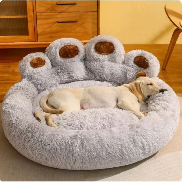 Flauschiges Hundebett von Still Coll in Grau, Waschbares Sofabett für große Hunde aus Mikrofaser, Breite: 50 cm - Bild 1