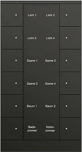 Busch-Jaeger KNX Dimmer Bediengerät SB/U12.0.11-885 2CKA006330A0076 - Bild 1