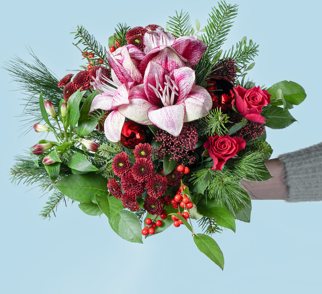 BLUME2000 Red Velvet Amaryllis Bouquet red lightpink Größe M - Bild 1