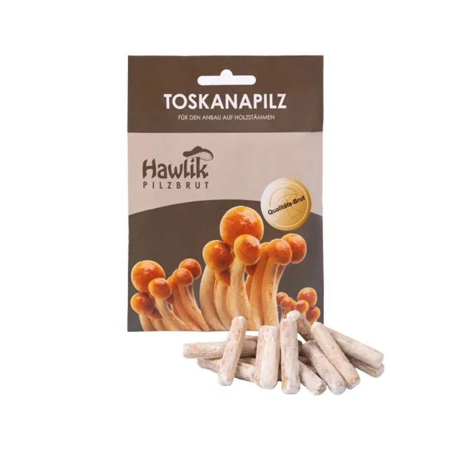 Hawlik Pilzbrut Myzel Dübelbrut Toskanapilze für die Pilzzucht im Garten auf Holzstämmen - Bild 2