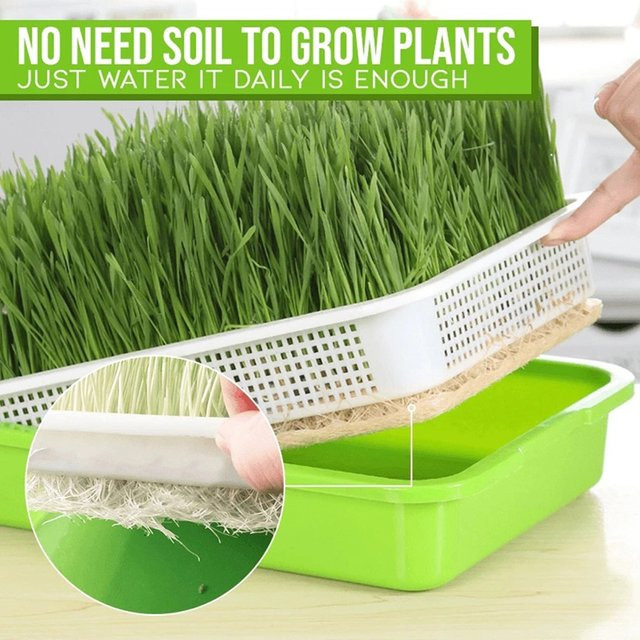 LEENKEA Microgreens Keimschale für Sprossen und Hydroponik im Gemüsegarten - Bild 1