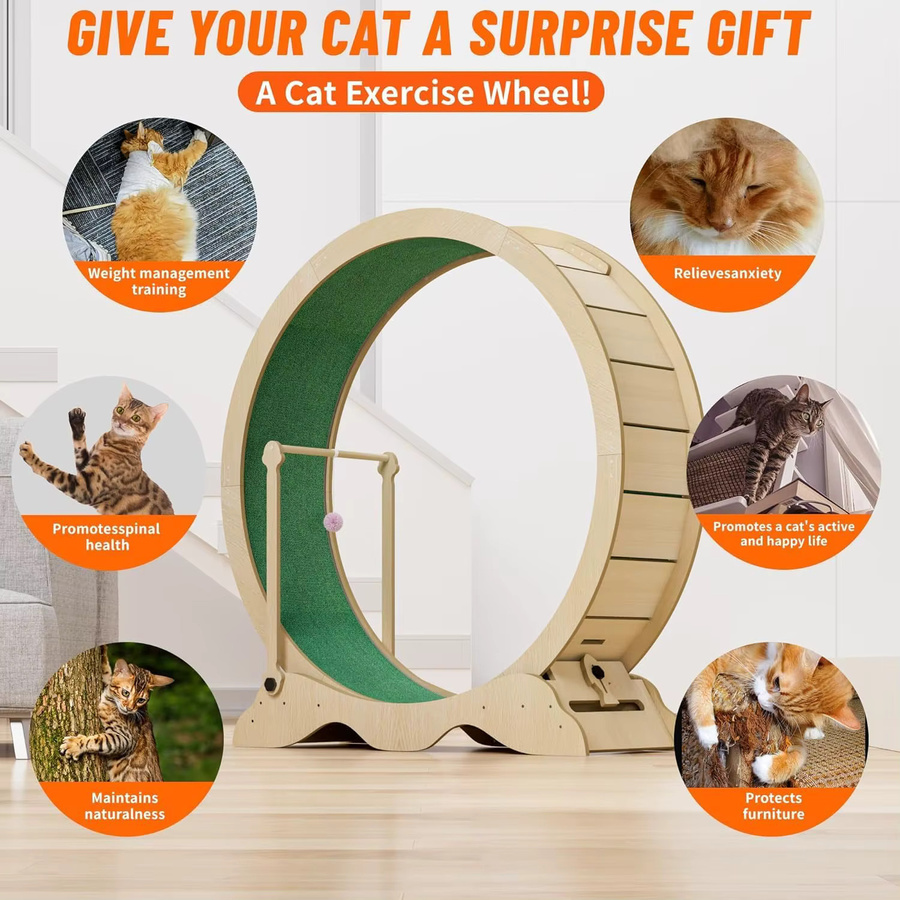 Studyset Katzen-Übungsrad mit leisen TPE-Rollen und abnehmbarem Teppichboden-Laufsteg in Beige/Braun inklusive Katzen-Teaser - Bild 4