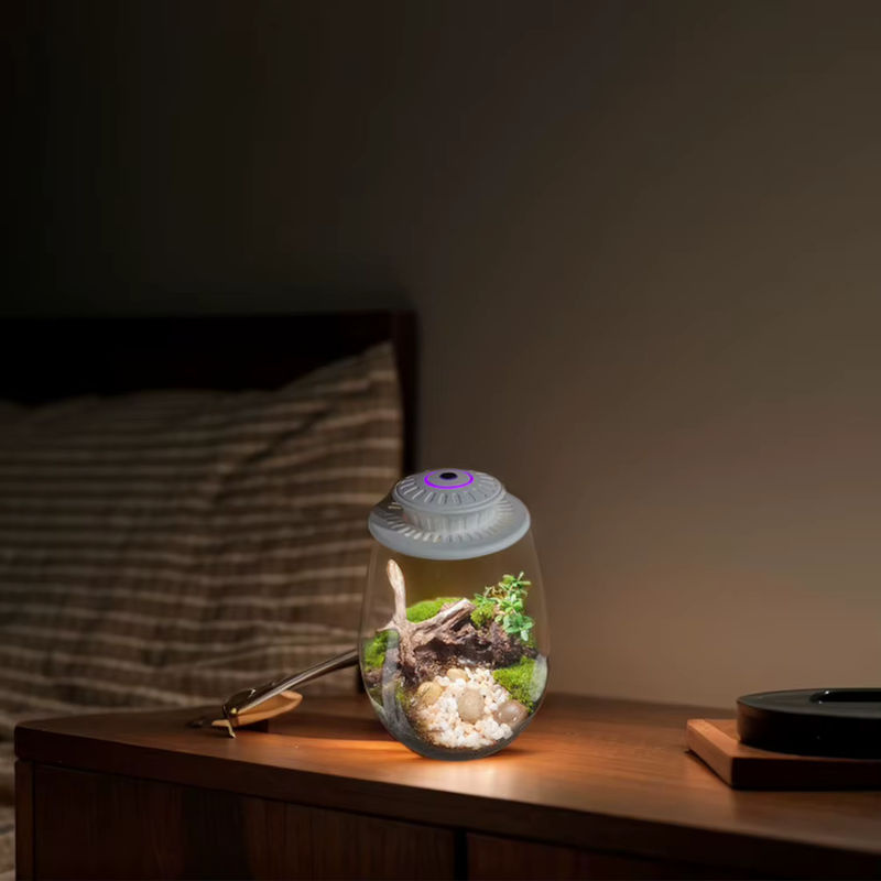 F2 Miniatur-Gartenpflanzen-Terrarium aus Glas mit Wachstumslicht in Grün, Weiß und Mehrfarbig mit Moos-Landschaft und minimalistischem Design - Bild 2