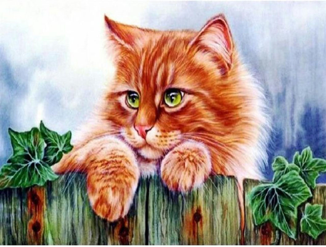FIYO Diamond Painting DIY Set Süße Katze als 5D Mosaik Bilder nach Zahlen in Mehrfarbig B/H: 30 x 20 cm - Bild 1