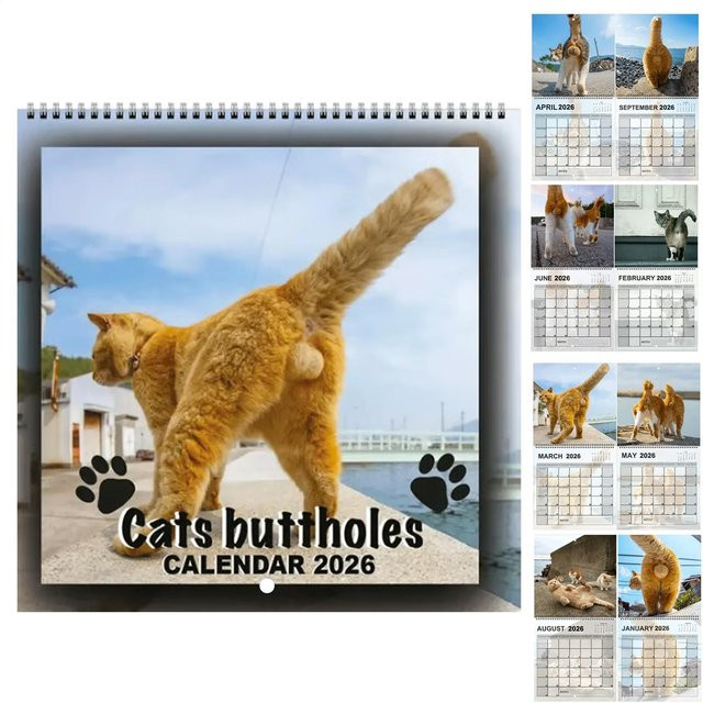 Wandkalender 2026 Katze Monatskalender mit 12 Monaten in Blau und Multicolour - Bild 1