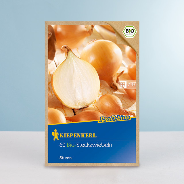 BIO Steckzwiebel Sturon Saatgut 60 Stück von BLUME2000 - Bild 1