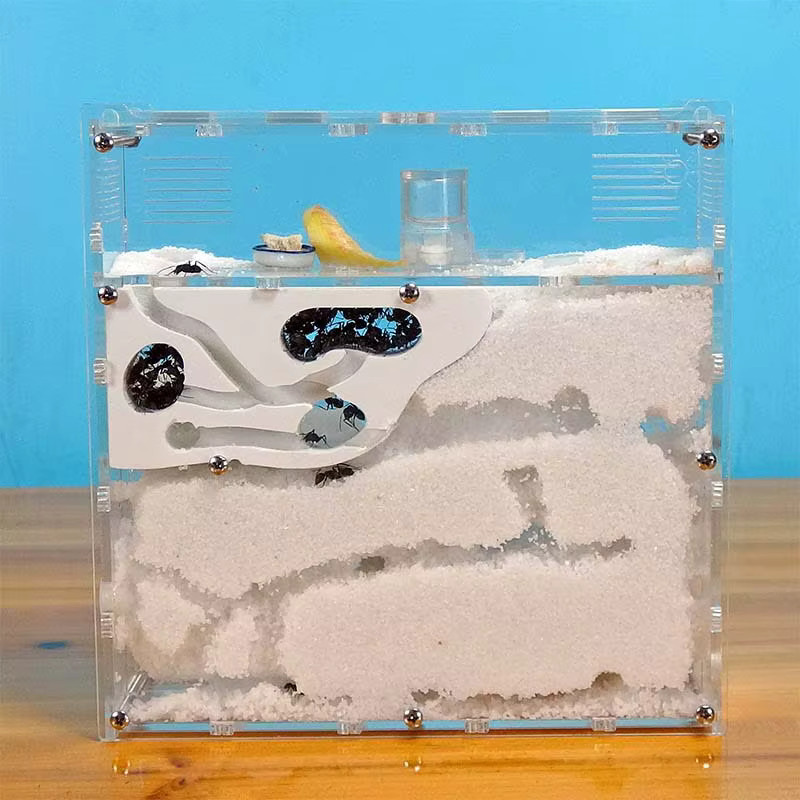 Otmagelu Ameisenfabrik Ameisenhaus, Insekten Terrarium, Natur, Kunststoff, Weiß - Bild 2
