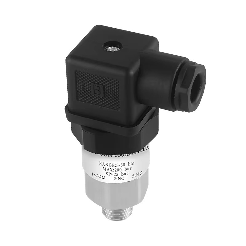 Mechanischer Druckschalter Kolbentyp von XUYANGQIDIAN aus Edelstahl mit einstellbarer Druckregelung G1/4 - Bild 2