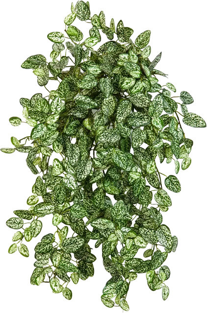 Künstliche Hypoestes Efe von Aplanta in Grün, Höhe: 50 cm - Bild 1