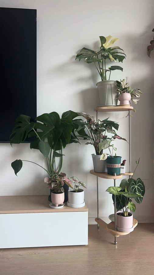XIUWO Moderner Pflanzenständer aus massivem Holz in Braun mit geometrischem Design für Wohnzimmer und Garten - Bild 4