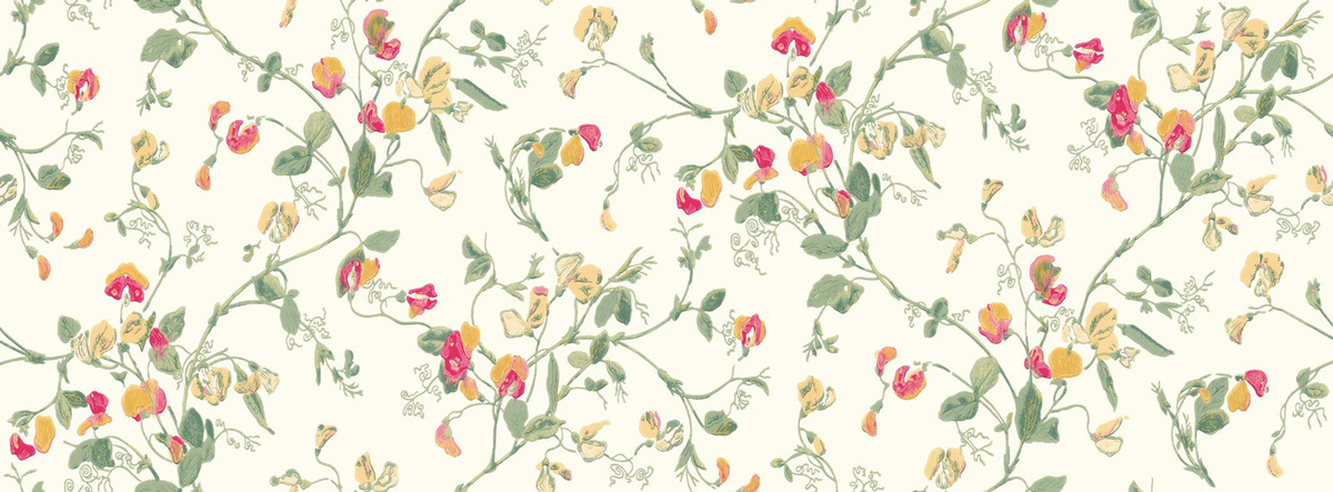 Cole & Son Tapete Sweet Pea in Pink, Gelb und Grün mit floralem Botanical-Design aus Vlies - Bild 1