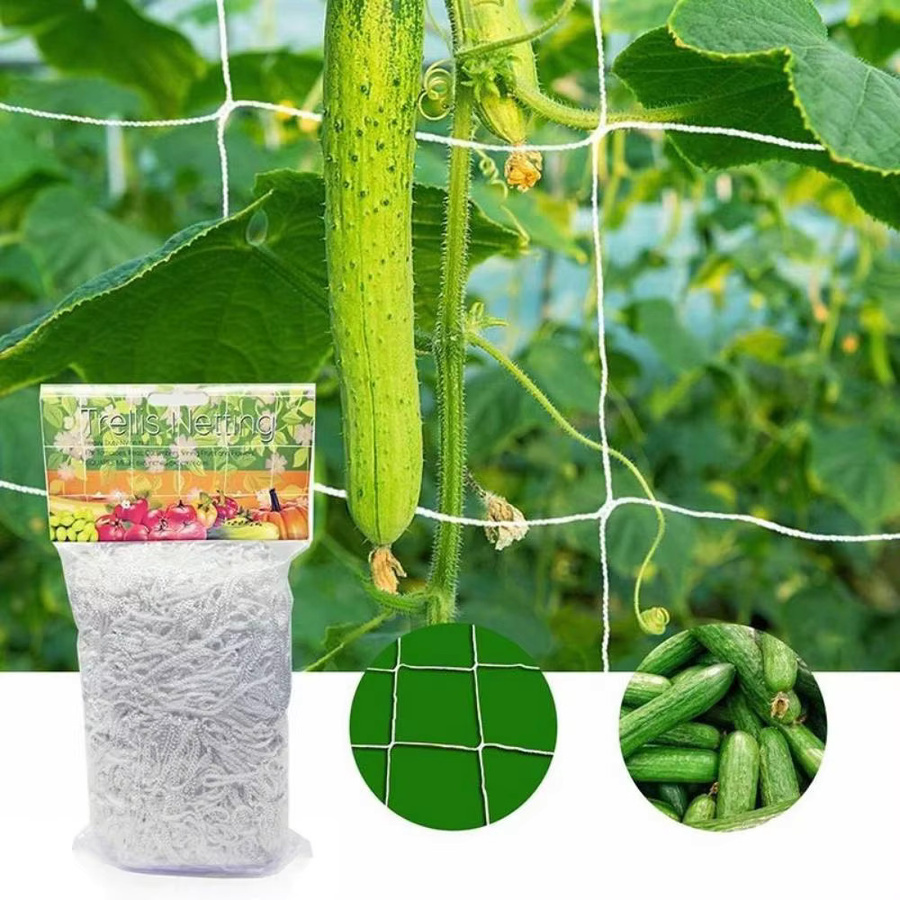 Kletternetz aus Polyester in Weiß als Rankhilfe für Gartenpflanzen wie Tomaten, Bohnen und Trauben - Bild 3