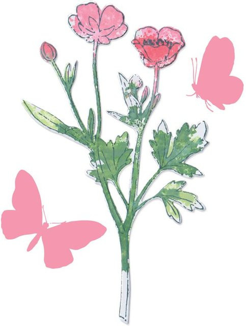 Sizzix Framelits Stanzschablone und Clear Stamps Painted Pencil Botanical - Bild 1
