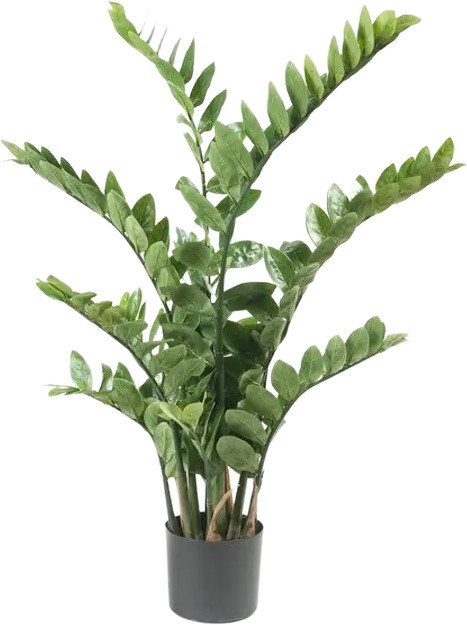 Künstliche Zamioculcas Pflanze Aplanta Elena, grün, Höhe: 110 cm - Bild 1