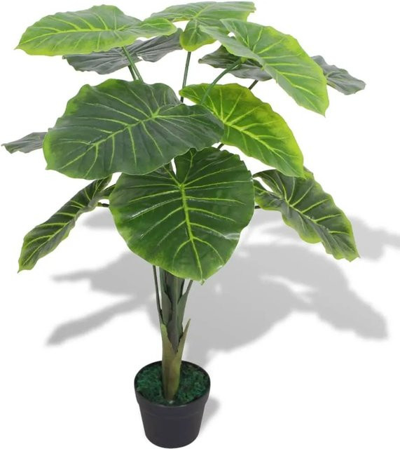 furnicato Künstliche Taro Pflanze in Grün mit Topf, Höhe: 85 cm - Bild 1