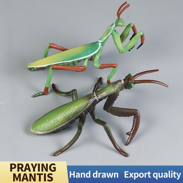 XIALIBAOMOWAN Insekten-Tiermodelle, Miniatur-Mantis-Figuren, Lernspielzeug - Bild 1