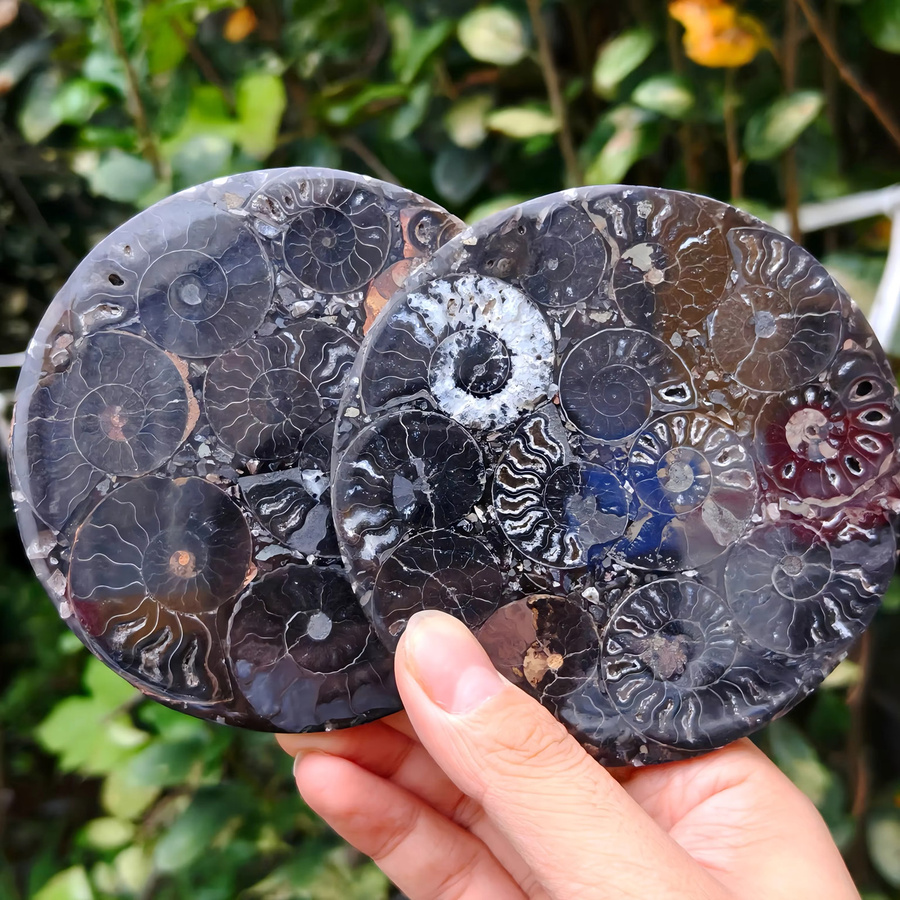 Künstliche Ammoniten-Fossilplatte von CrystalHola in Gelb und Schwarz, runde Dekoration aus Stein, Durchmesser: 11,0 cm - Bild 2