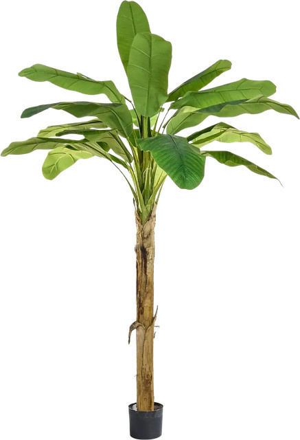 Künstlicher Bananenbaum Jonas von Aplanta, Höhe: 180 cm - Bild 1