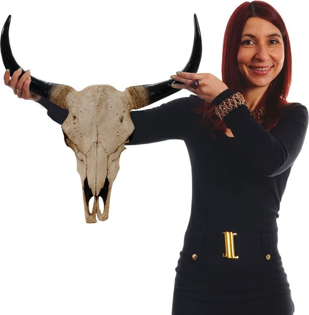 MCW Deko Schädel Stier Longhorn Kopf aus Polyresin in Beige, Höhe: 45 cm - Bild 1