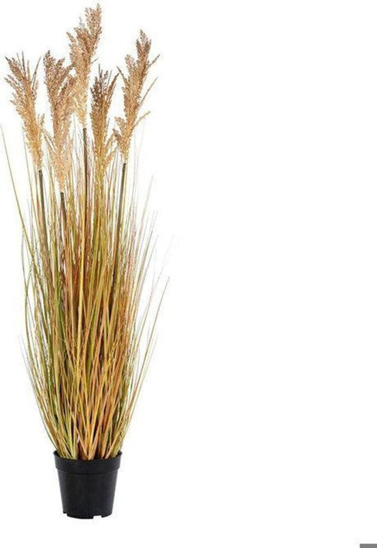 House Nordic Künstliche Sorghum-Pflanze in Natur, Höhe: 110 cm - Bild 2