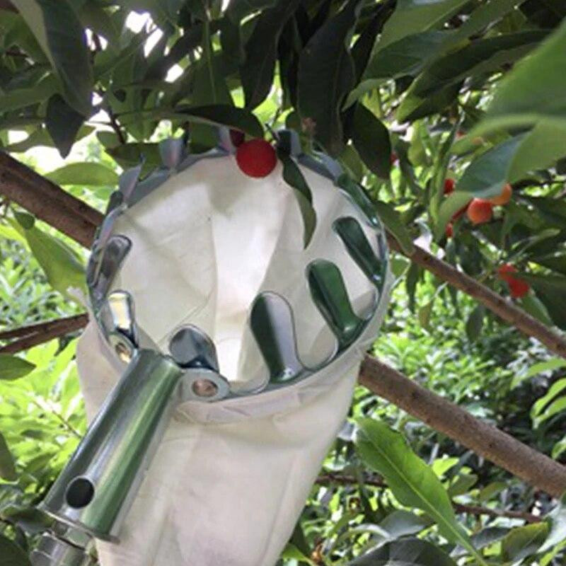 Obstpflückwerkzeug aus Metall in Silber, 1-teiliger Obsternteauaufsatz und Kirschpflückkorb mit 14 cm Durchmesser - Bild 3
