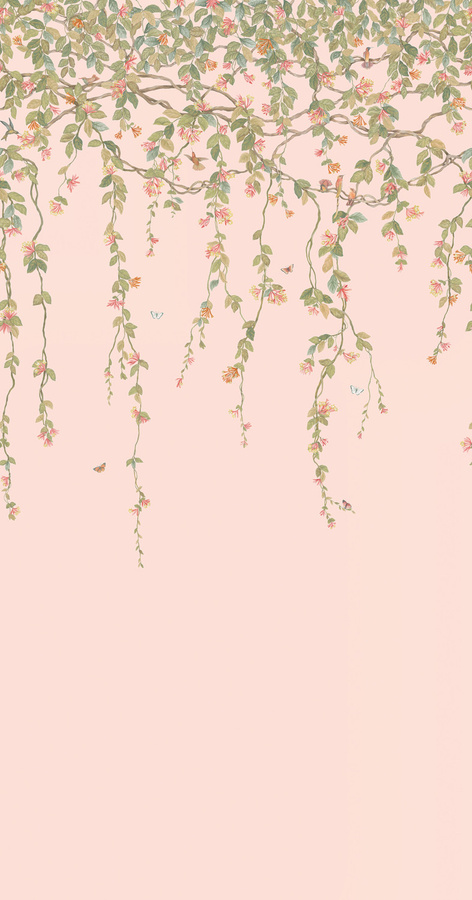 Cole & Son Tapete Hummingbirds Flora in Tangerine, Olive und Blush - Bild 1