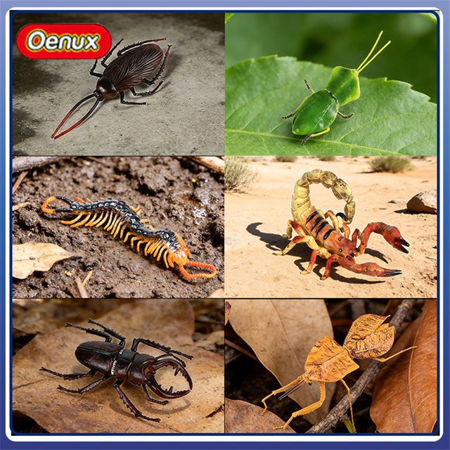 Oenux Insektenfiguren, Käfer-Modelle, Set / Bundle - Bild 1