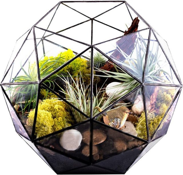 Nensit Geometrischer Blumentopf aus Glas und Metall, transparent, quadratisch, Höhe: 23,0 cm, Breite: 23,0 cm, Tiefe: 19,0 cm - Bild 1