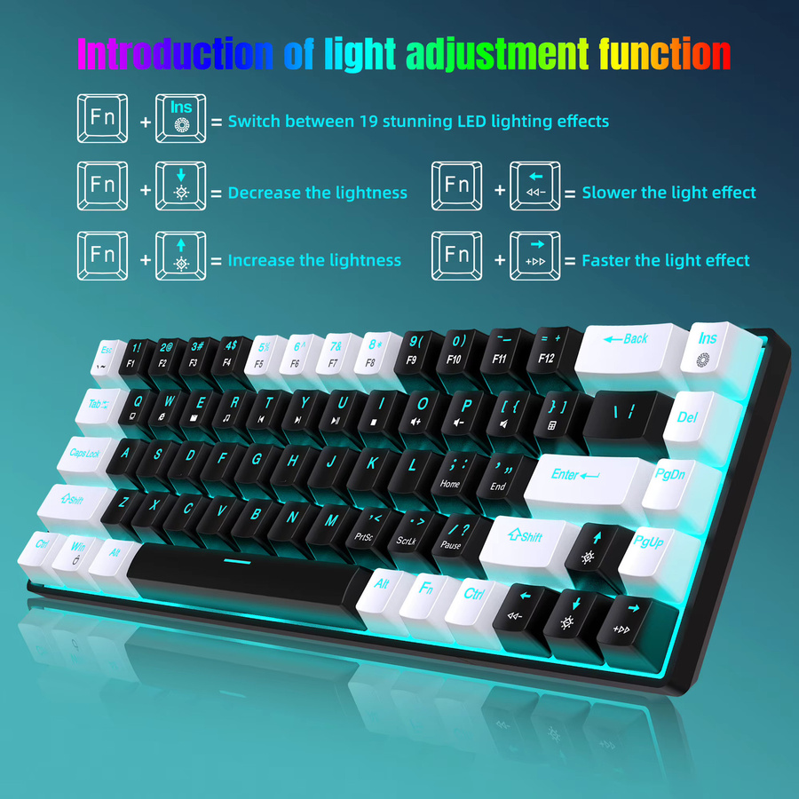 HXSJ Mechanische Tastatur mit 68 Tasten und Hintergrundbeleuchtung in Schwarz-Weiß mit abnehmbarem USB-C-Kabel - Bild 2
