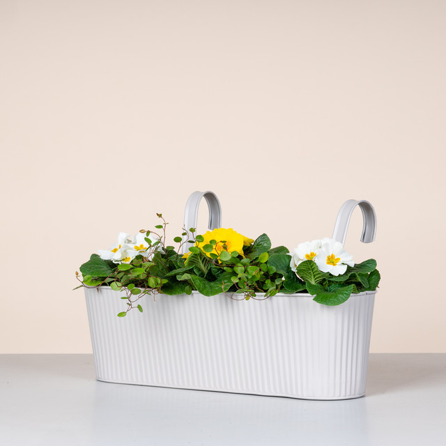 BLUME2000 Hängekasten Balkonkasten aus Zink in Grau mit Rille, Breite: 42 cm - Bild 1