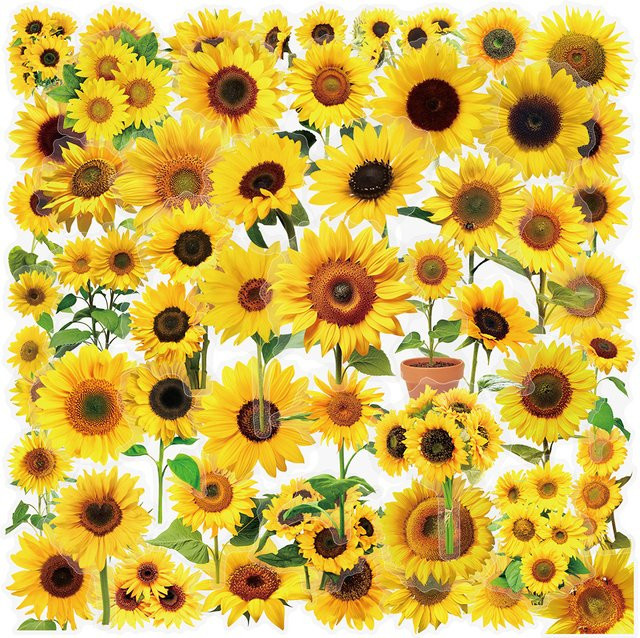 50 Stück transparente Sonnenblumen und Blumen Aufkleber aus wasserfestem PET in Gelb zur Dekoration von Gitarren, Notizbüchern und Schreibwaren - Bild 1
