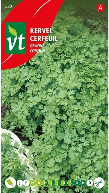 Arborix Kerbel Saatgut feinwürzig 8 g - Bild 1