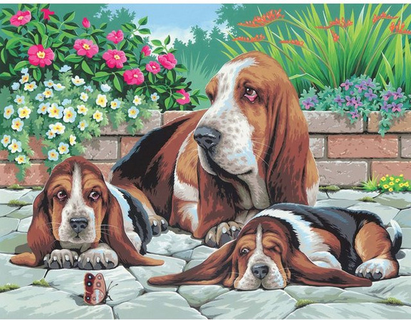 Mammut Malen nach Zahlen Bassethunde Set
