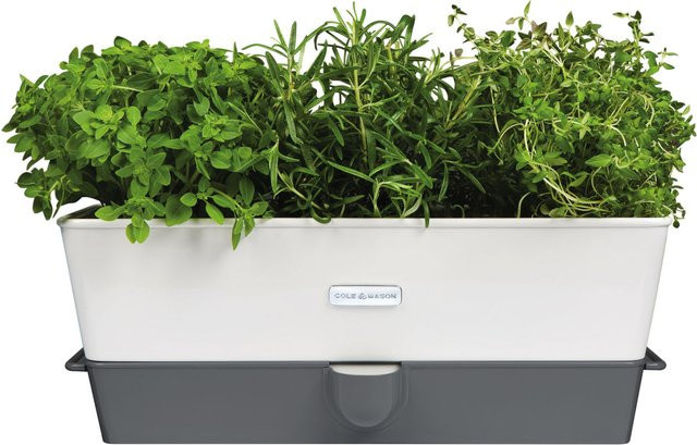 Cole & Mason Burwell Potted Kräutertopf mit Selbstbewässerung, 2er Pack, grau/weiß, B: 37,1 cm, T: 14 cm, H: 14 cm - Bild 1