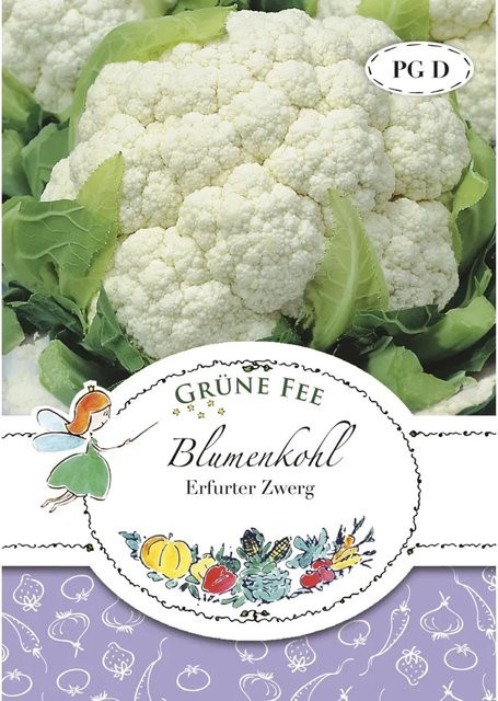 Grüne Fee Blumenkohl Erfurt Saatgut - Bild 1