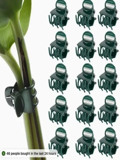 100 Stück Pflanzenklammern aus Kunststoff von Yiran Furniture zur Unterstützung von Orchideen, Gemüse, Weinreben und Blumen - Bild 1