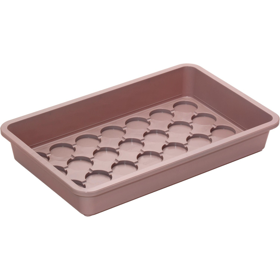 Universal-Anzuchtschale für Gemüsepflanzen und Blumen, Farbe: Taupe, B/T/H: 38 x 24 x 6 cm - Bild 2