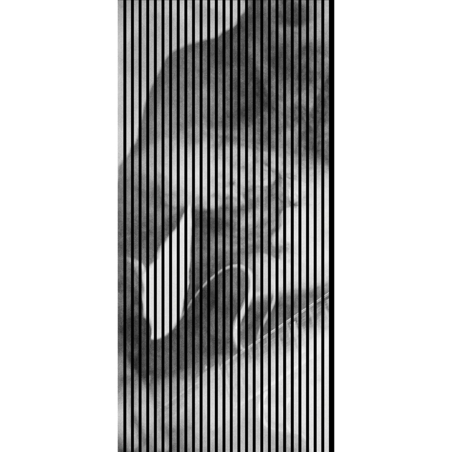 FN Acustico Akustikplatte Riff 2 in Bunt aus PET und MDF mit modernem Design, B/H: 113,3 x 240 cm, Tiefe: 1,9 cm - Bild 2