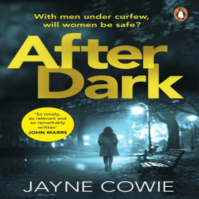 After Dark von Jayne Cowie, Taschenbuch - Bild 1