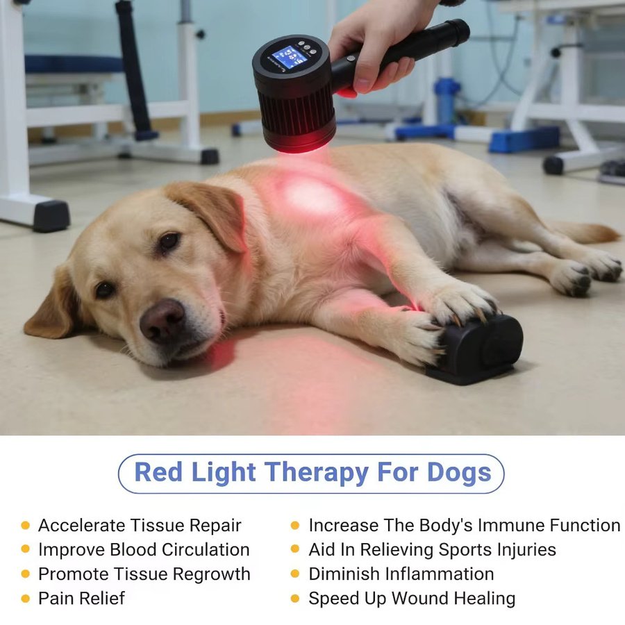 HLKGO Medizinisches Kaltlaser-Therapiegerät, Rotlicht, 650nm+808nm - Bild 5