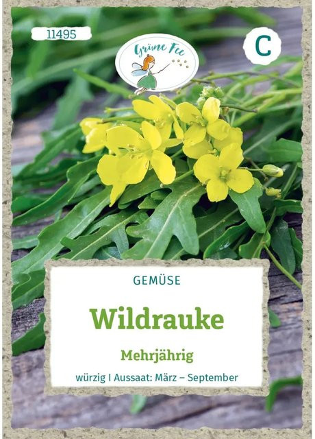 Grüne Fee Wildrauke mehrjähriges Kräuter-Saatgut würzig - Bild 1