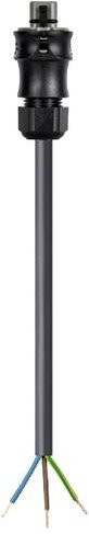 Wieland Electric 96.834.4004.3 Anschlussleitung in Schwarz - Bild 1