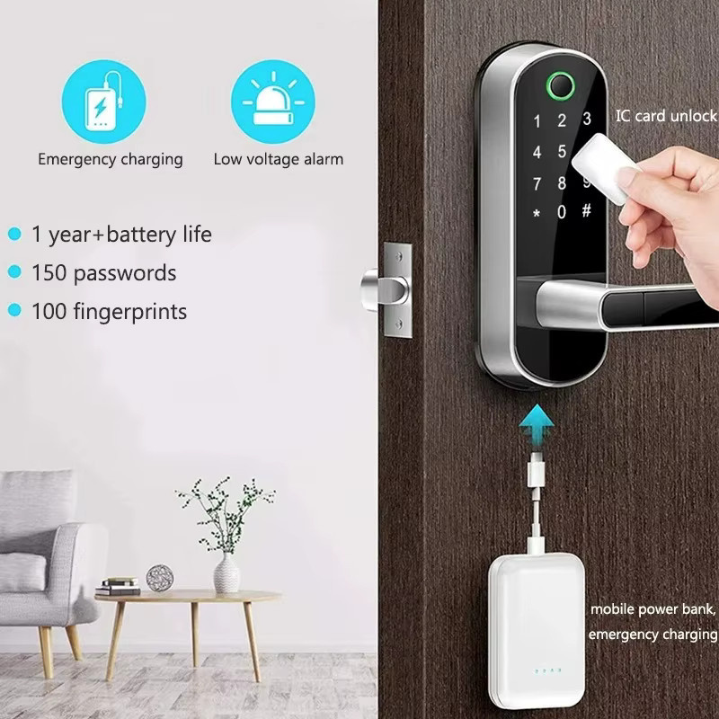Tuya Smart Fingerabdruck-Türschloss luxuglow WLAN Digitales Touchscreen-Schloss mit NFC und IP68 Wasserdicht in Schwarz oder Silber - Bild 2
