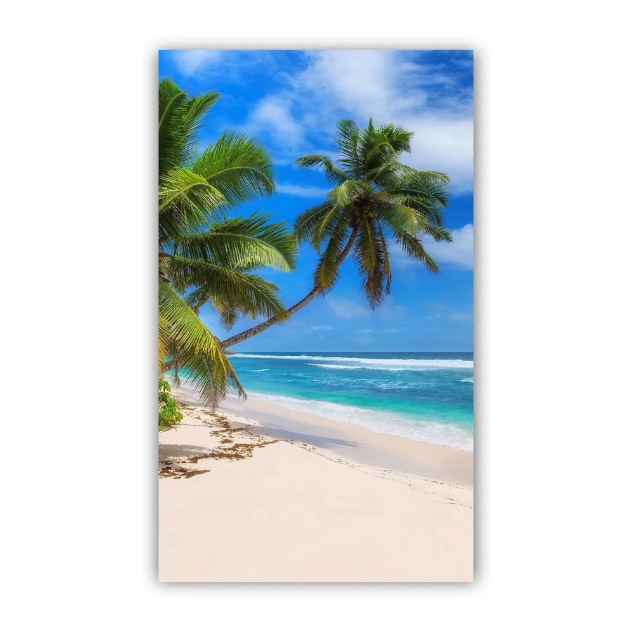 Walllux Duschrückwand Paradies Strand in Multicolour aus Alu-Verbund, 3 mm Stärke, B: 150 cm, H: 255 cm - Bild 2