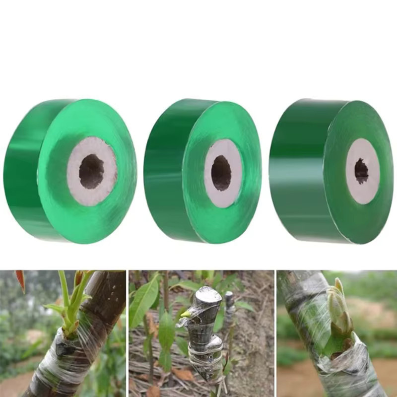 Biologisch abbaubares Pfropfband in Grün, 100 m Länge, umweltfreundliche Transplantatmembran als Gartenbindegürtel - Bild 5