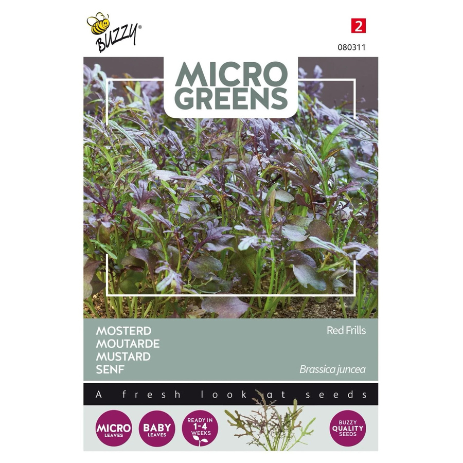 Buzzy Microgreens Blattsenf Red Frills Samen für Microgreens 1 g - Bild 2