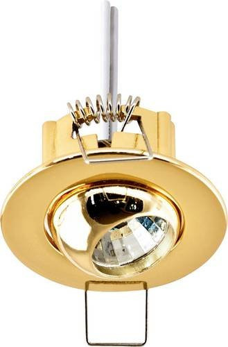 EVN Einbauring 426421 Halogen G4 20W Gold/Messing verstellbar - Bild 1