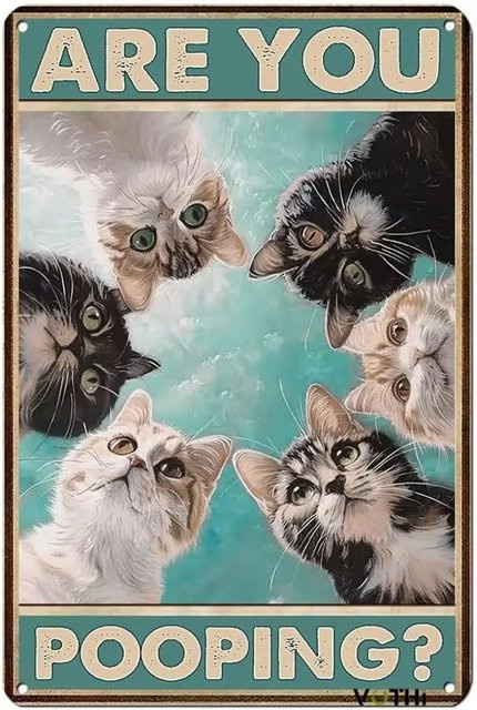 HELLOYOUNG Blechschild Black Cat Are You Pooping Wanddekoration aus Aluminium, Höhe: 20 cm, Breite: 20 cm - Bild 1