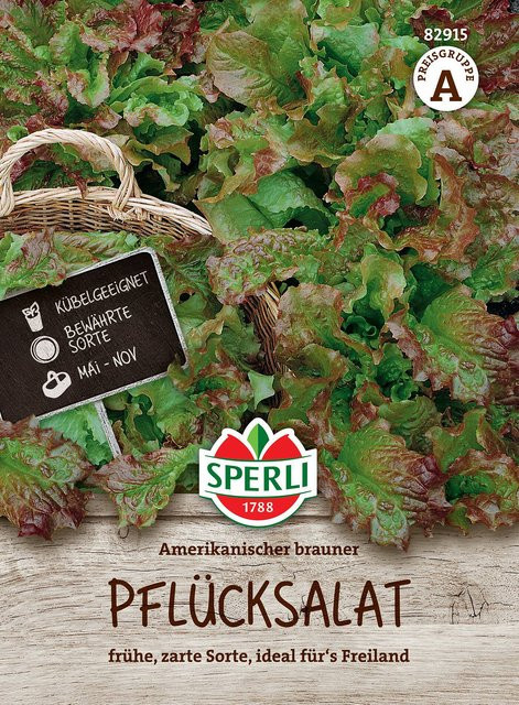 SPERLI Pflücksalat-Samen Amerikanischer brauner - Bild 1